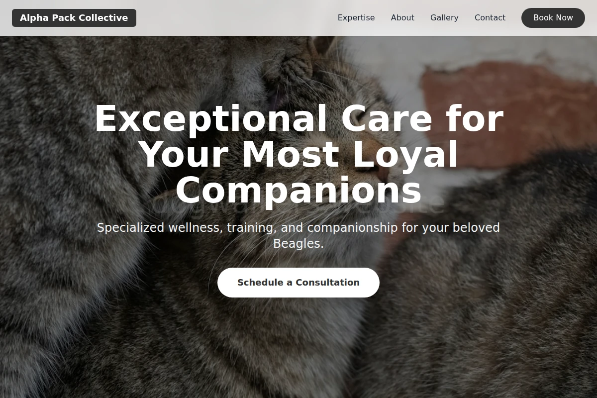 Beagle Animal Care