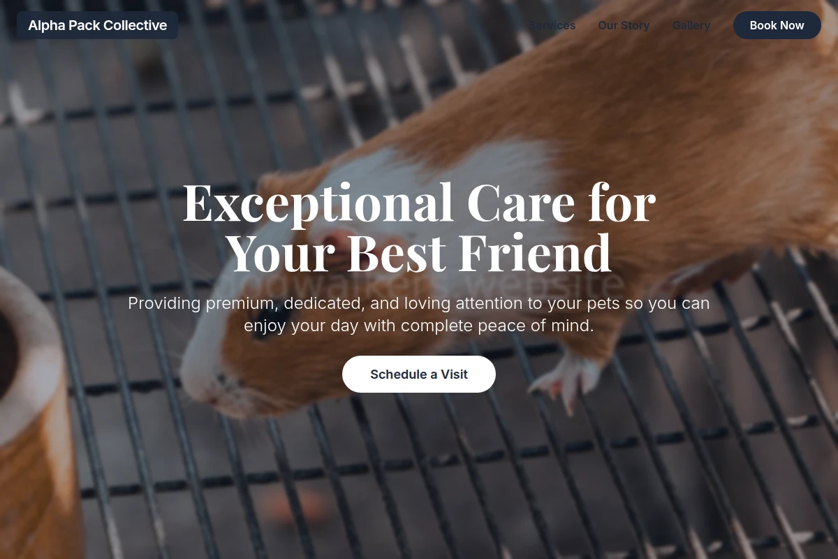 Collar Animal Care