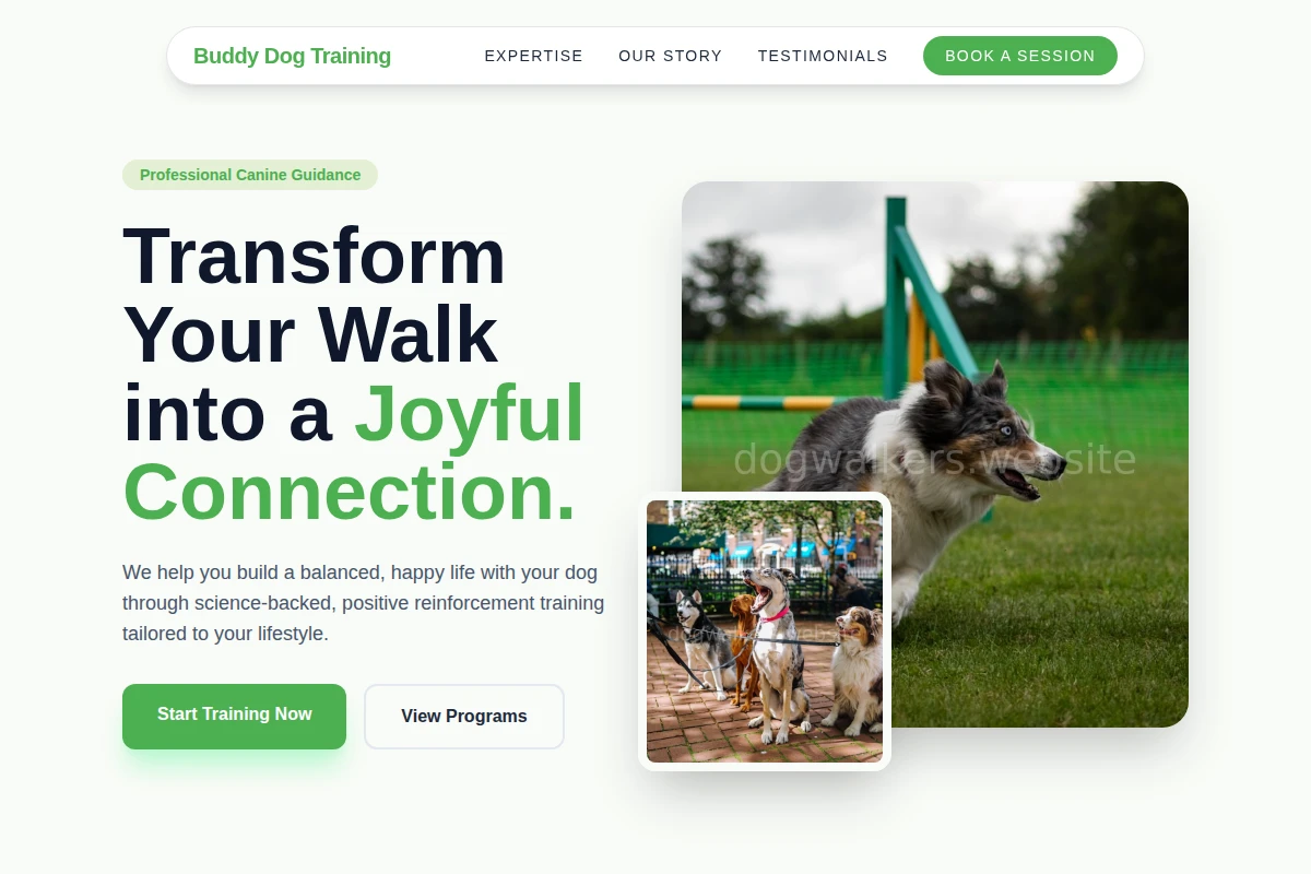 Buddy Dog Training