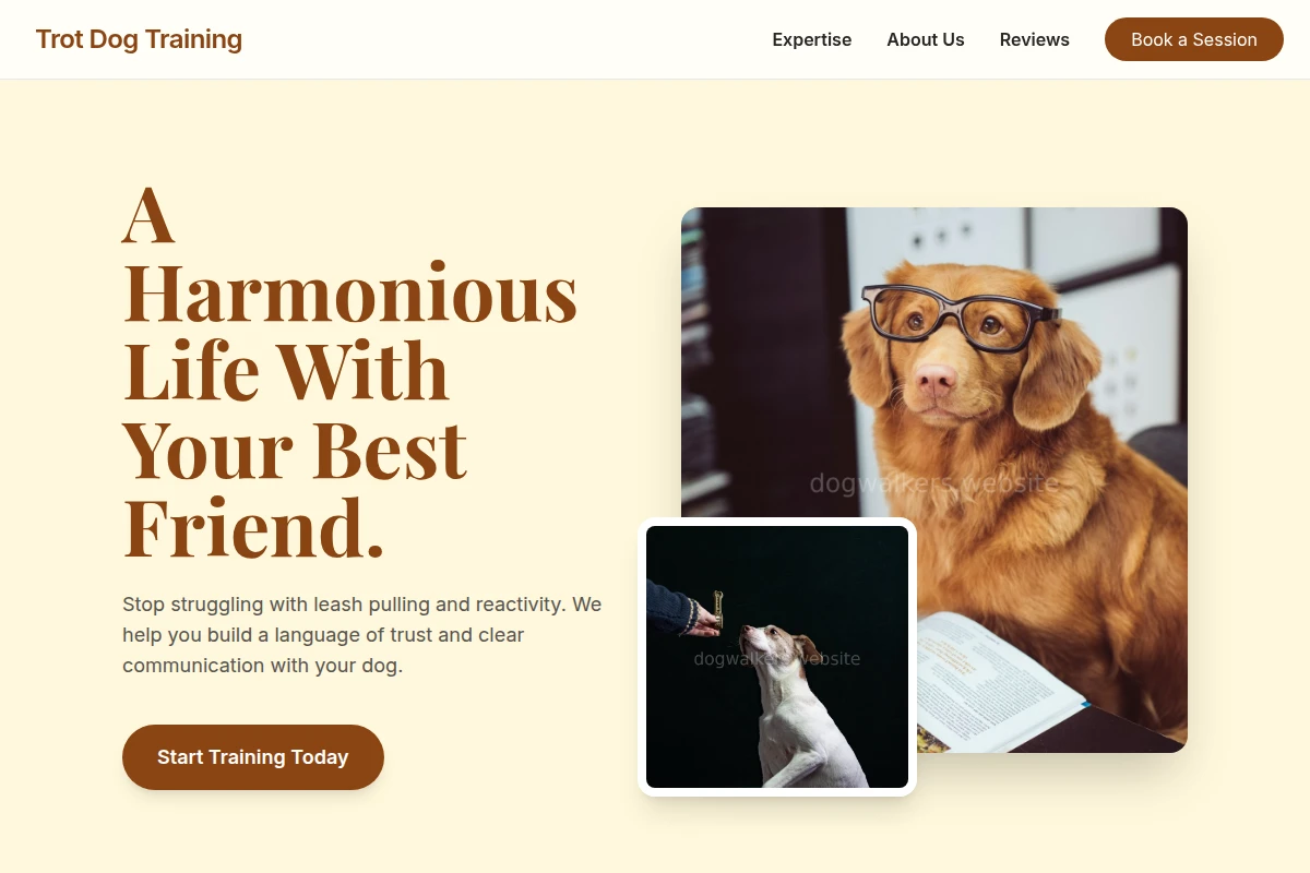 Trot Dog Training