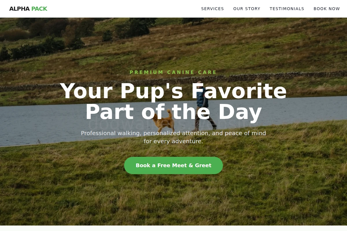 Fetch Dog Walker