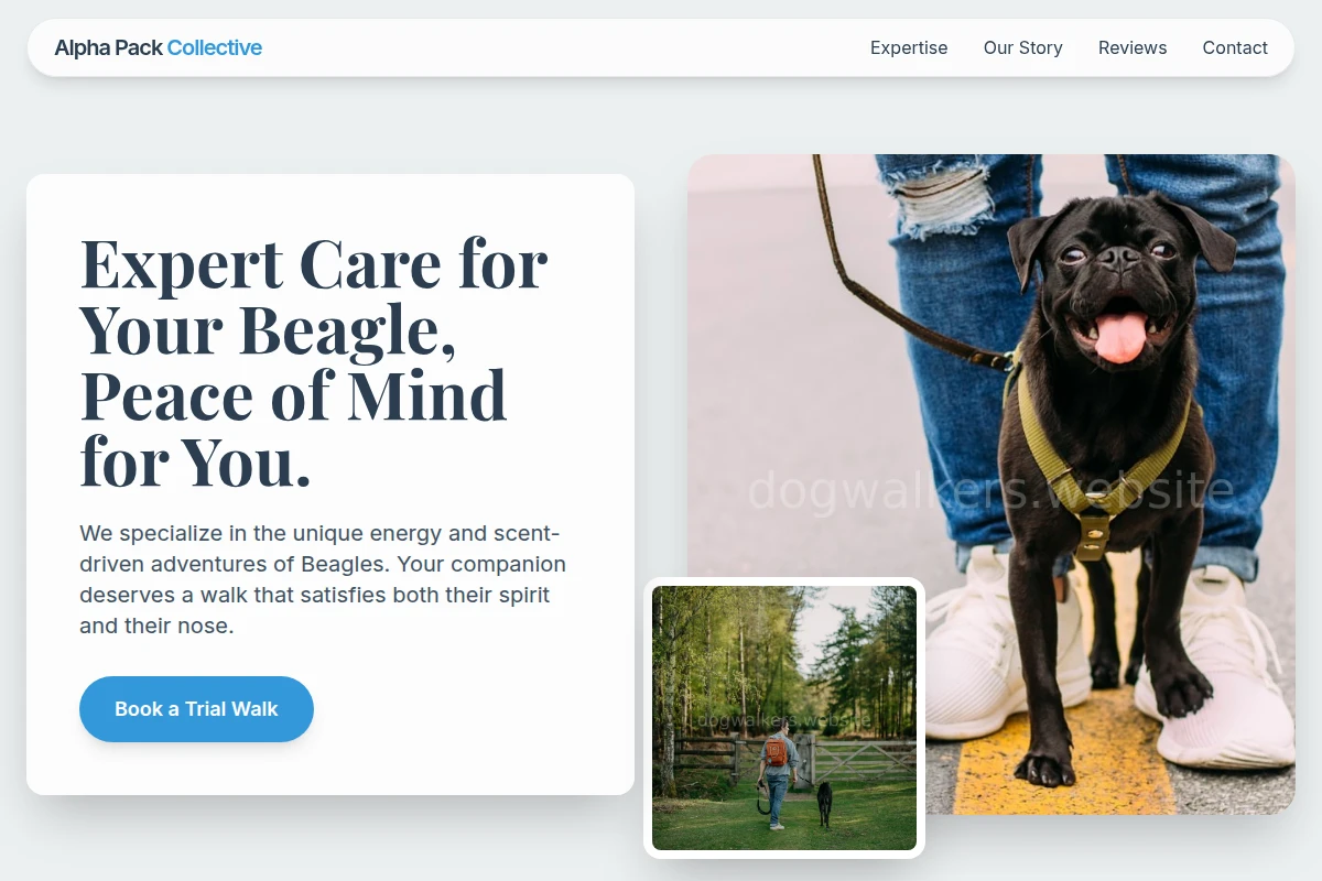 Beagle Dog Walker