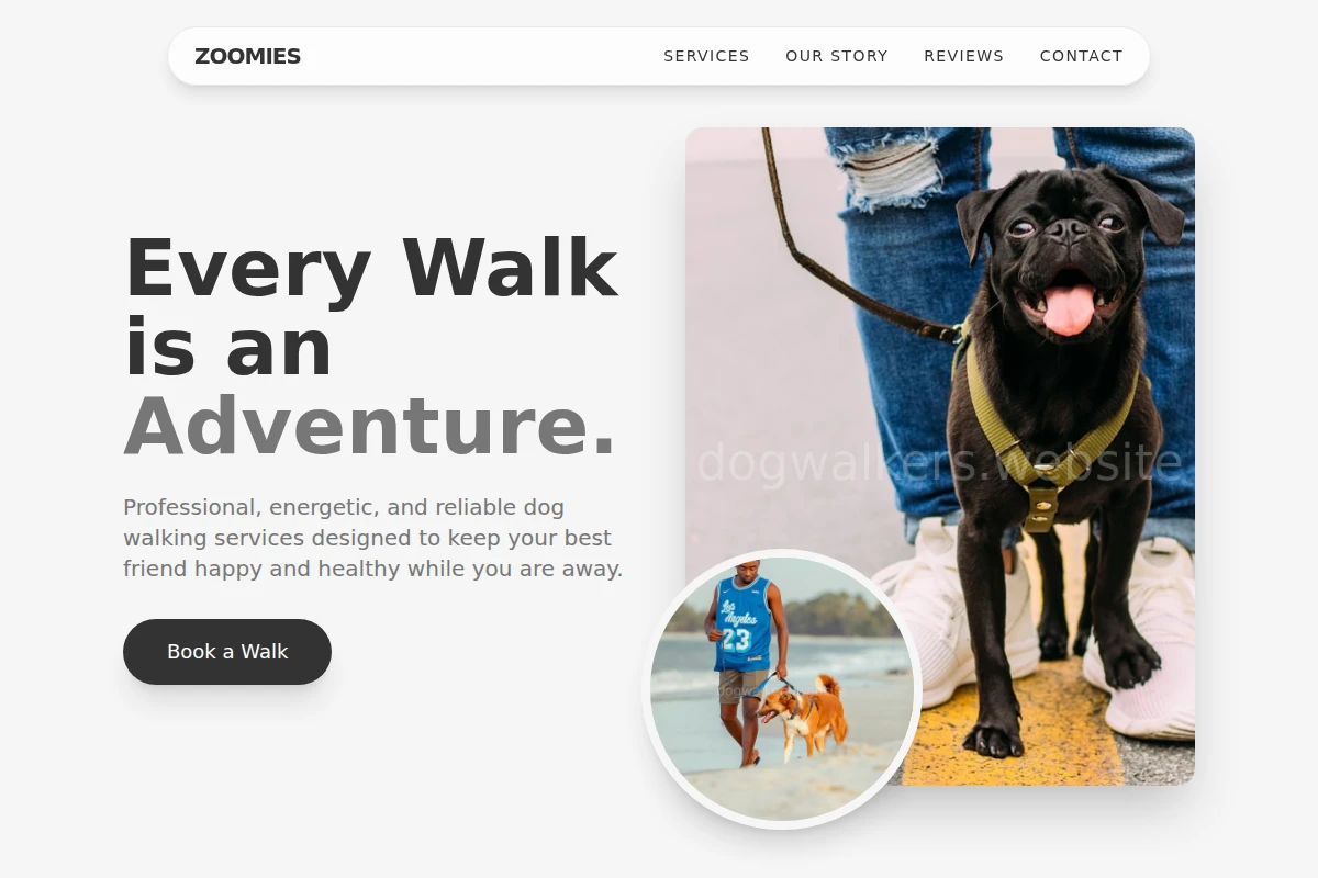 Zoomies Dog Walker