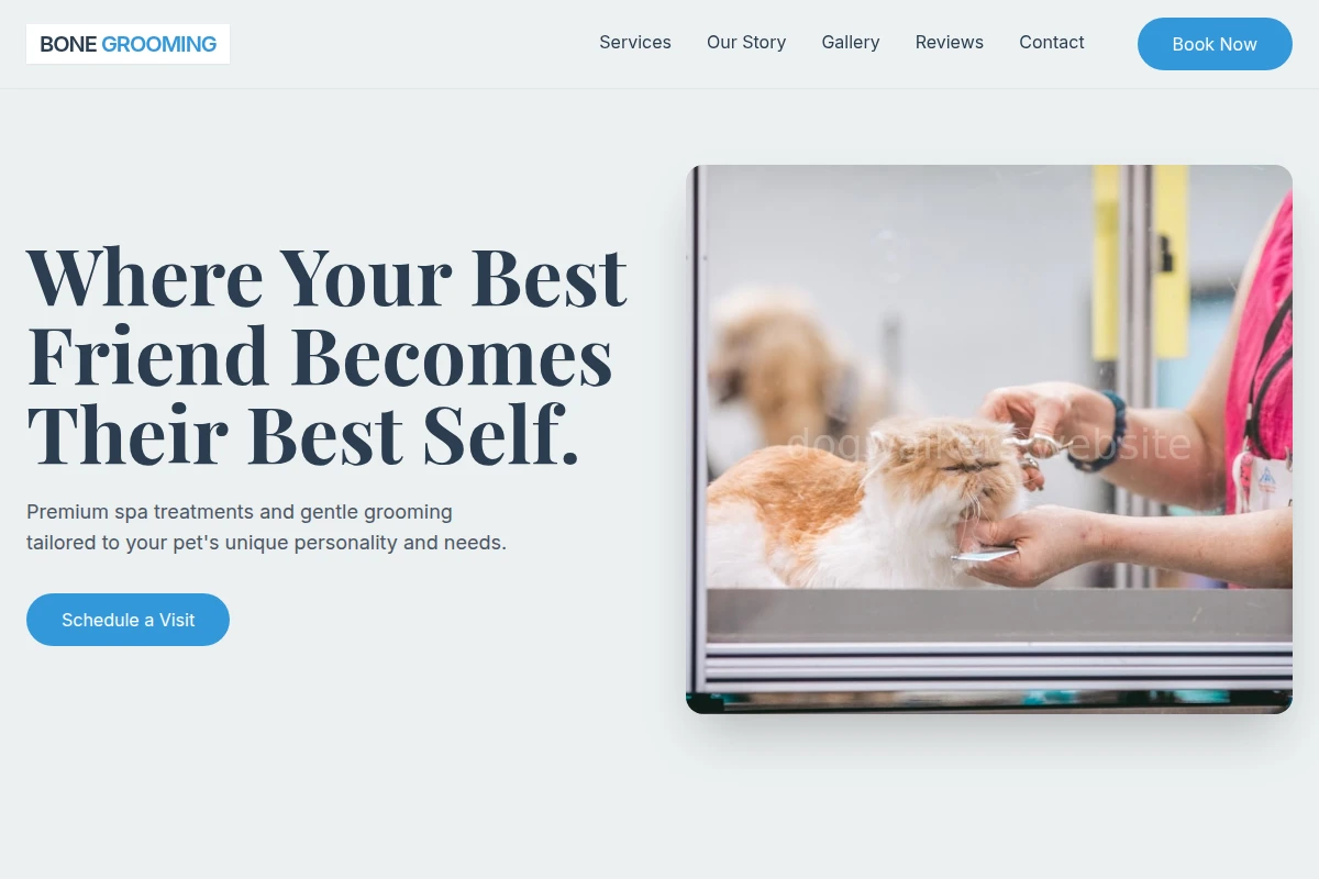 Bone Pet Grooming