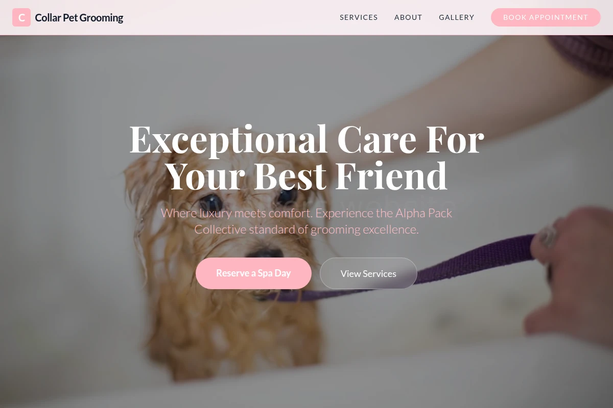 Collar Pet Grooming