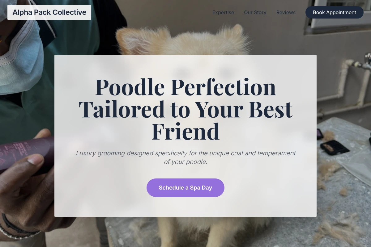 Poodle Pet Grooming